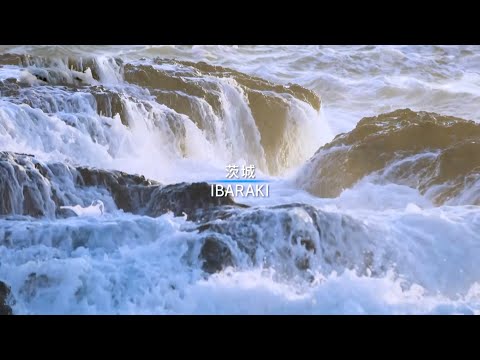 The ever-changing natural beauty of Ibaraki