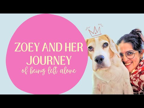 How to navigate separation anxiety with your dog? FT. Sowjanya S Vijayanagar