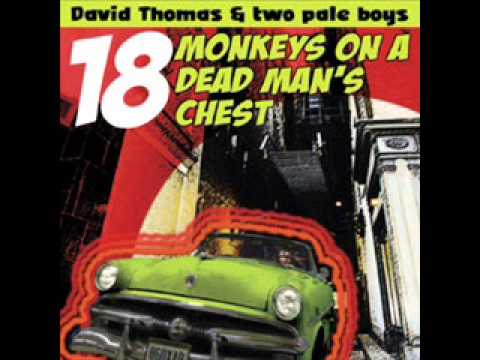 David Thomas & Two Pale Boys - Little Sister.wmv