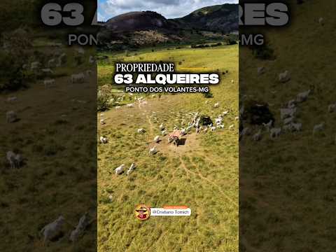 EXCELENTE PROPRIEDADE 63 PONTO DOS VOLANTES-MG R$ 4.6 MILHÕES #luxo #gado #roça #rural #fazenda