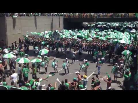 "Día del hincha verde | Marcha LOS DEL SUR |" Barra: Los del Sur • Club: Atlético Nacional • País: Colombia