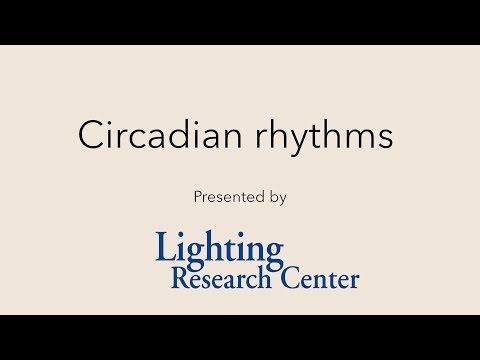 Circadian rhythms