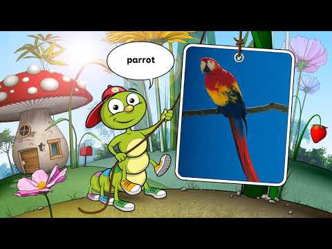 Name The Wild Animals