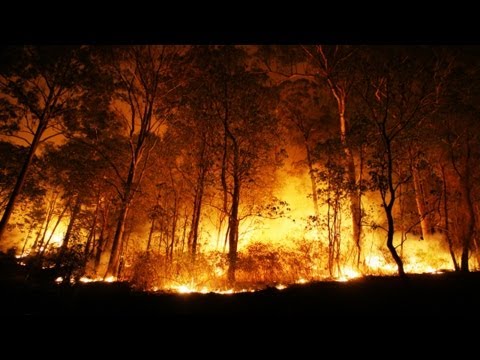 What Causes Wildfires? | BBC Earth Explore