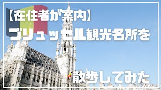 【在住者が案内】ブリュッセル観光名所を散歩してみた | Brussels | Belgium | DJI Pocket 2