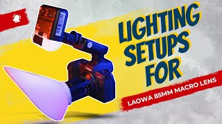 Lighting Solutions for the Laowa 85mm Macro Lens