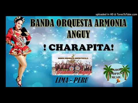 BANDA ORQUESTA ARMONIA ANGUY -  " CHARAPITA"