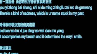 you yi zhong bei shang 有一種悲傷( A Lin) lyrics