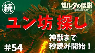 【女性実況】ゼルダの伝説ブレスオブザワイルド～今日もゼルダを救えない#54