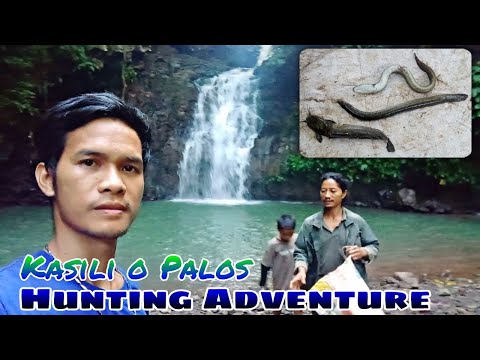 PagPandaw ng mga TAAN sa KASILI, IGAT, PALOS or EEL | Buhay Probinsya | Fishing in the Philippines