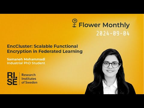 EncCluster: Scalable Functional Encryption in Federated Learning (Flower Monthly 2024-09)