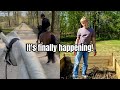 The First Trail With Our Horses And Starting A Veggie Patch