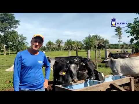 Projeto de Transferência de embriões