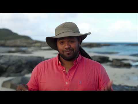 Hamza’s Hidden Wild Isles Trailer