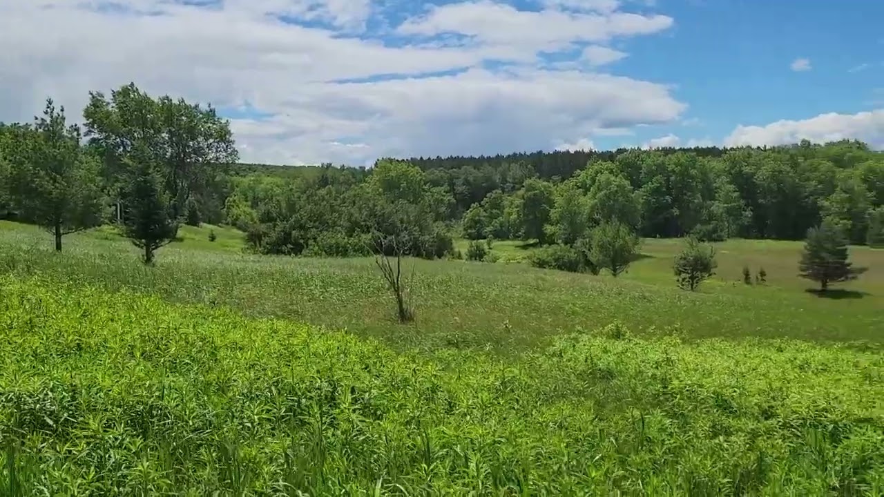 Tour - Pentoga Meadow - Above the Brule River - Michigan Side.