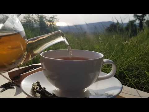 download lagu mp3 mp4 Wild Asparagus Tea, download lagu Wild Asparagus Tea gratis, unduh video klip Wild Asparagus Tea