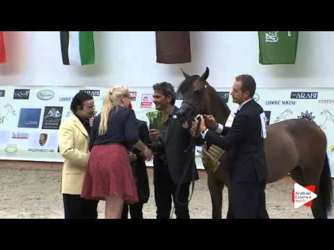 N 1 MIMI NK   Prague Intercup 2015   Yearling Females Championship Class 12 1st place