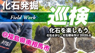 【巡検】森の中でジュラ紀の植物化石を掘る！【南相馬市】