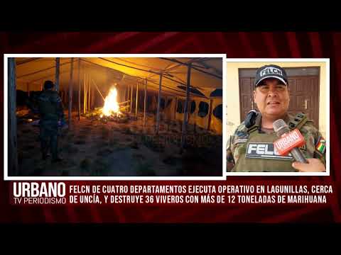 FELCN de cuatro departamentos ejecuta operativo en Lagunillas, cerca de Uncía, y destruye 36 viveros