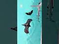 A Girl Rescued A Baby Bat From A Swimming Pool And Took It In