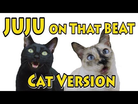 JuJu On That Beat - Cat Version (Official Music Video)