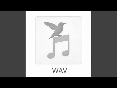 WAV