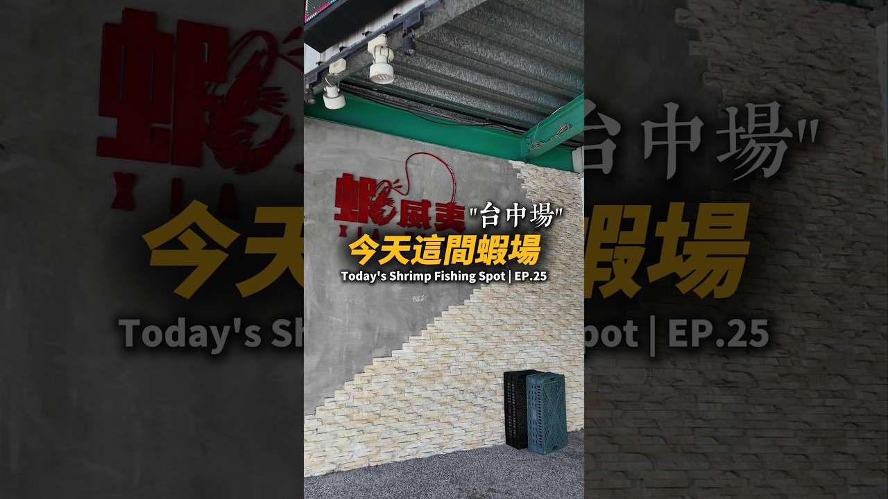 今天這間蝦場EP.25【MLS蝦戰天下】#17shrimp #台湾のエビ釣り #shrimpfishing #새우낚시