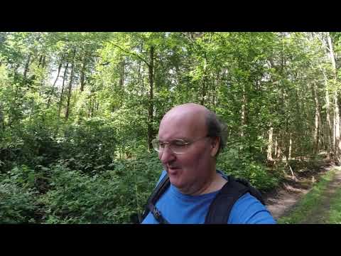 MongoTV_3445 - Danish Vlog - Del 2 - Skovtur og Henter Cola