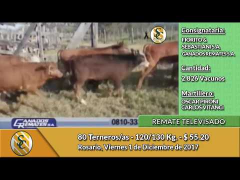 1-12-17 - Remate Televisado de Fiorito & Sebastiani - Ganados Remates -  Rosario