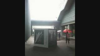 Ridiculously Deep / Arto Lindsay