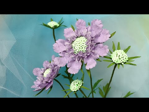 ABC TV | How To Make Scabiosa Paper Flower - Craft Tutorial