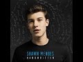 Shawn Mendes - Act Like You Love Me (NEW SONG ...