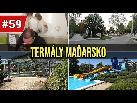 Termály Maďarsko |Thermal Camping Sárvár | Co se nám tam stalo🐶| VLOG - dovolená 1. část