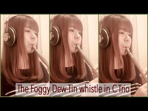 The Foggy Dew-Tin whistle in C Trio