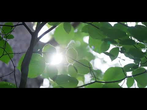 【월간영주】마실치유숲