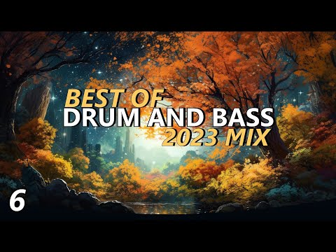 Best of Drum & Bass 2023  6 (ft. Wilkinson, Koven, Kanine, Andromedik, Metrik, Grafix & more!)