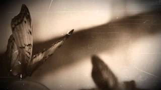 Malinconia - Riccardo Fogli