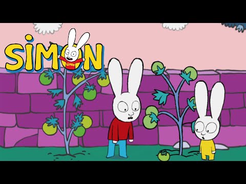 Grüne Tomaten?! 🖌️🍅🌱 Simon | 1 Stunde Kompilation | Staffel 1 | Cartoons für Kinder