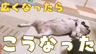 季節外れの大掃除してみたら快適です😎