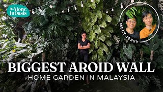 Biggest Aroid Wall Home Garden (Balcony) in Malaysia | Helping Jessy pruning her Aroid garden