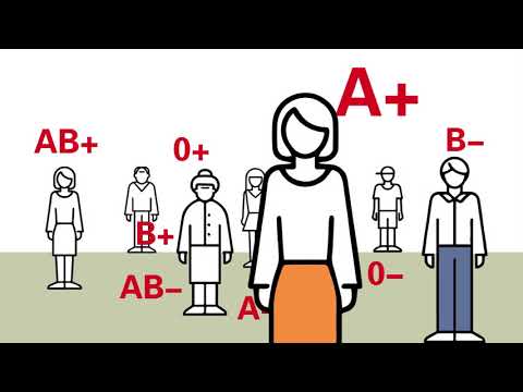 Que sont les groupes sanguins?