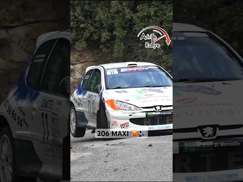 PEUGEOT 206 MAXI 🥵🔊 Pure Sound 😍