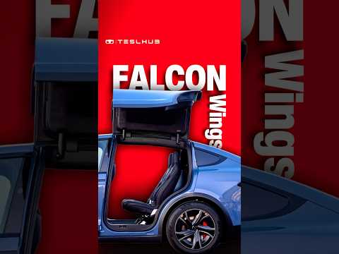 Come apro le Falcon Wings di Model X in un parcheggio strettissimo? 🤯