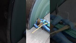 Download lagu Sander VS Avatar Jake Sully #sandervs #satisfying #avatar mp3