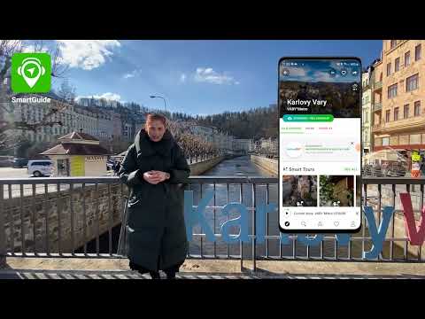 Náhled pro video reference