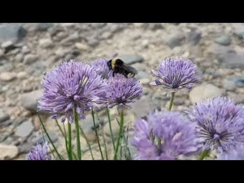 ЛЕТО,ах лето!