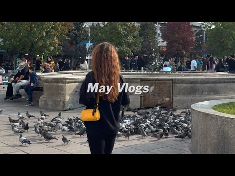 Slow Living in Iran, Rasht | Daily Bazaar, Ordinary Life, Before Yalda 