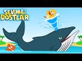 Sevimli Dostlar Ve Balinalar Sevimli Dostlar Bebek şarkıları Çocuk şarkıları Sevimlidostlar
