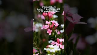 Download lagu Sarapan Iman #565 - Yohanes 19:25-27 (lihat deskripsi) #shorts mp3