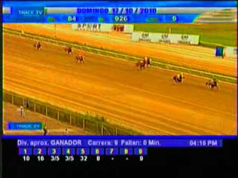 Resumen domingo 17 de octubre 2010 - La Rinconada